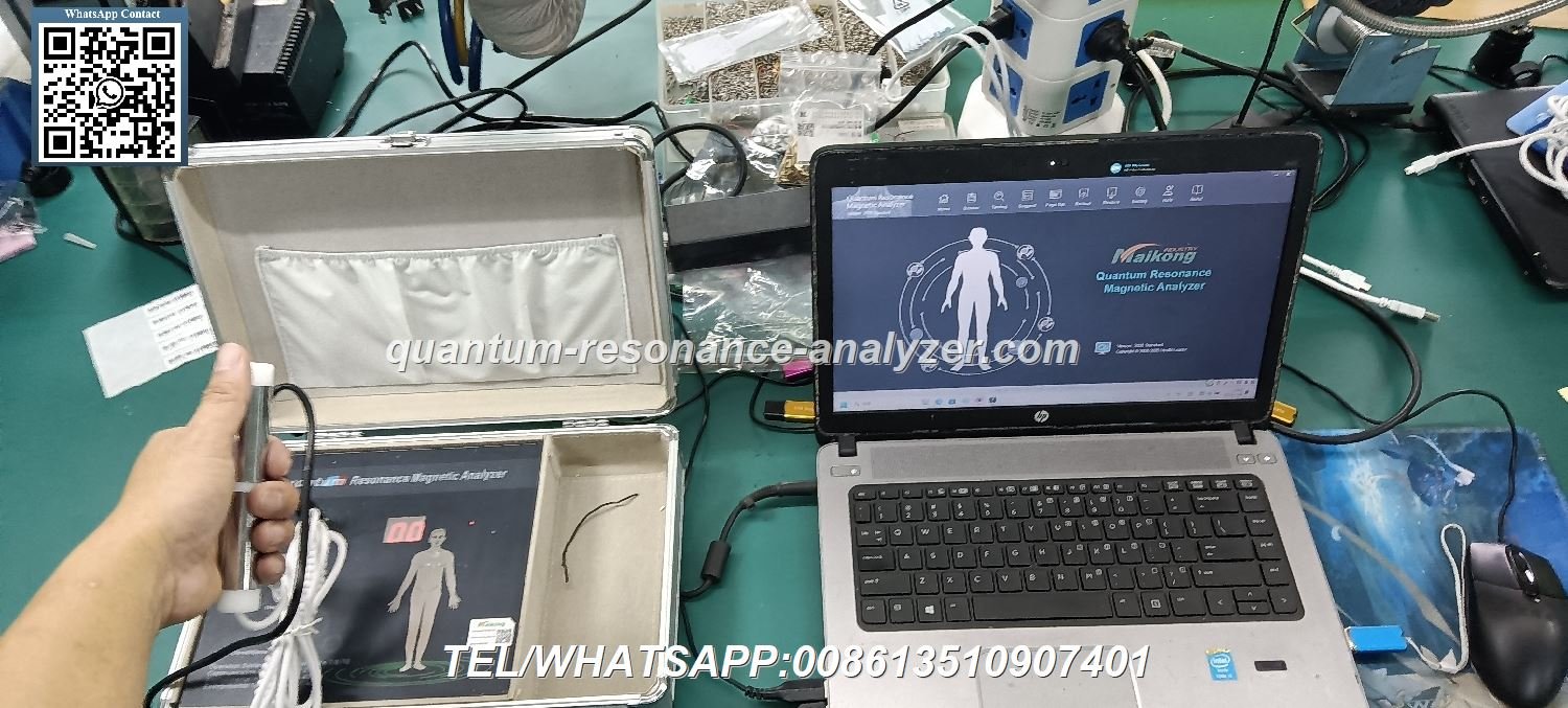 Certificado CE oficial para analizador cuántico Certificado CE oficial para analizador cuántico